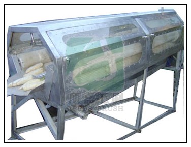 毛刷輥式蘿卜清洗機(jī)