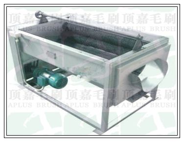 毛刷式果蔬去皮清洗機